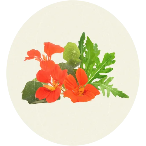 naturzio+rucola-min.png